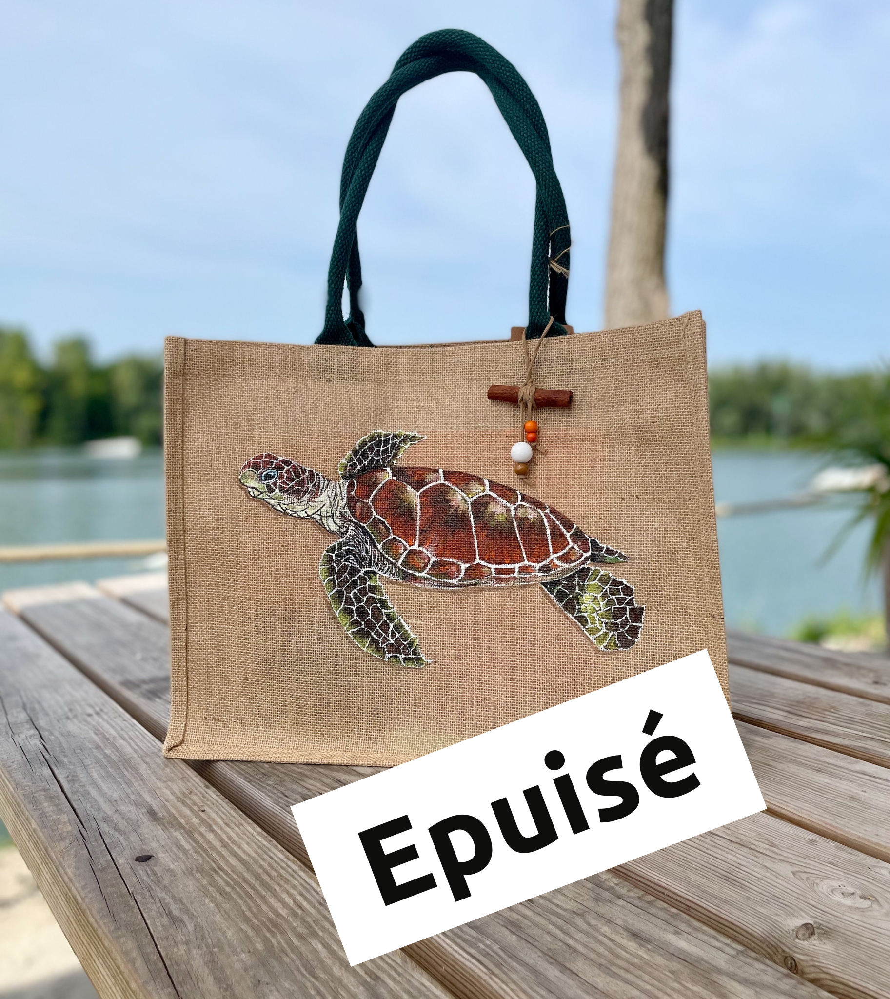 tortue
