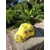 casquette jaune enfant avec fleurs