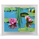 galerie glacis tableau fleur de lotus au bord du lac caisse américaine blanche