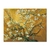 galeTableau reproduction Vincent Van Gogh Amandier en fleursrie glacis