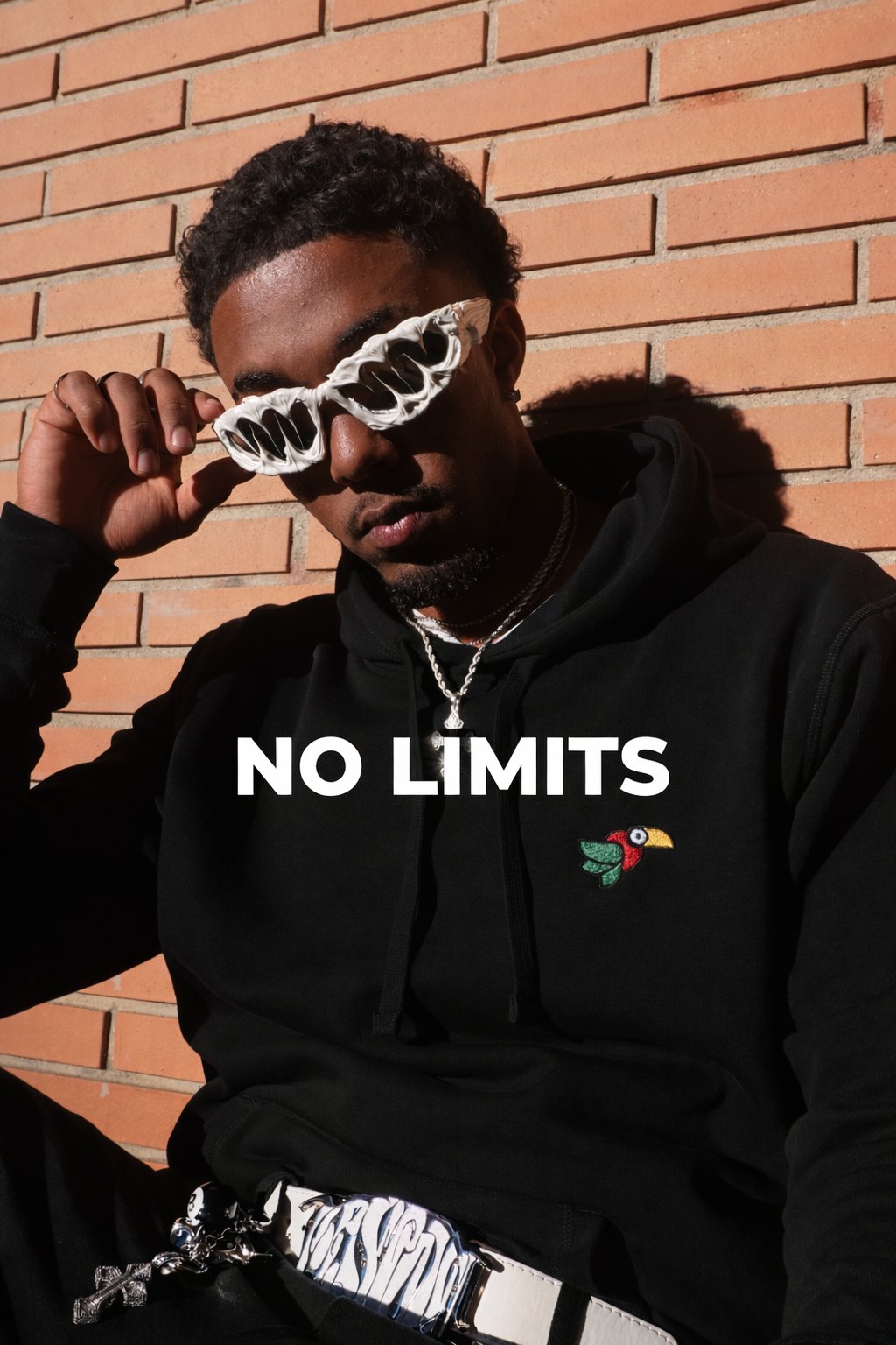 Hoodie Toukan noir 