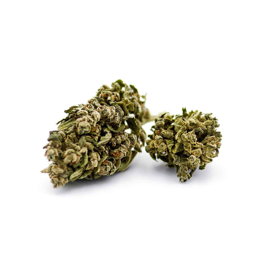 fleur-super-lemon-haze-indoor