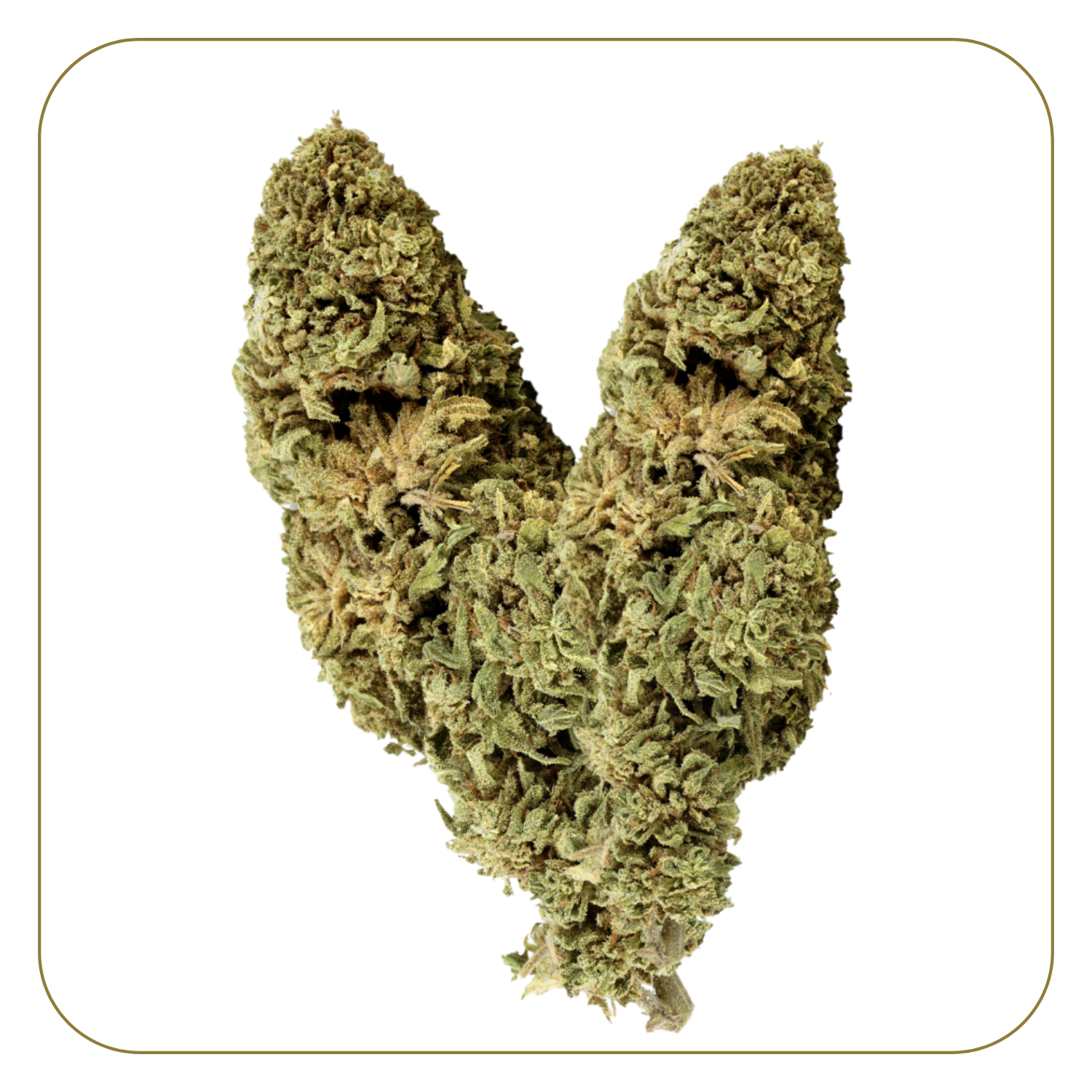 NYC Diesel Greenhouse 18,5%