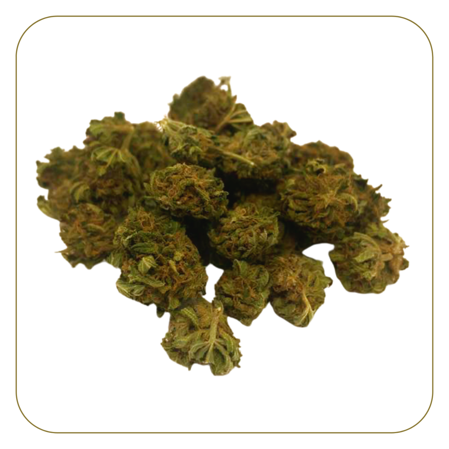 fleur-cbd-skywalker-greenhouse