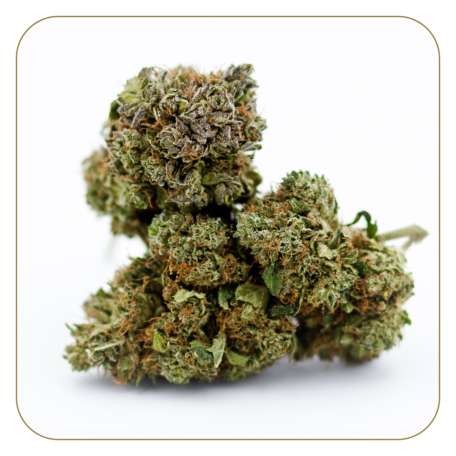 OG Kush Indoor 19%