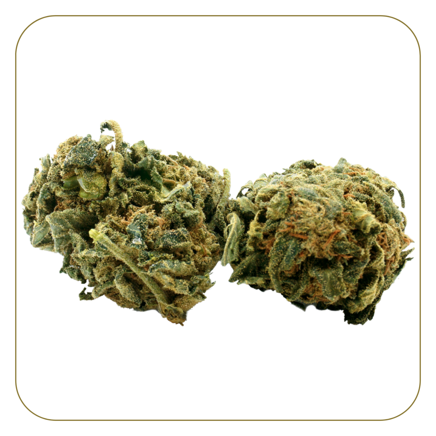Fruit Cake Greenhouse 12%