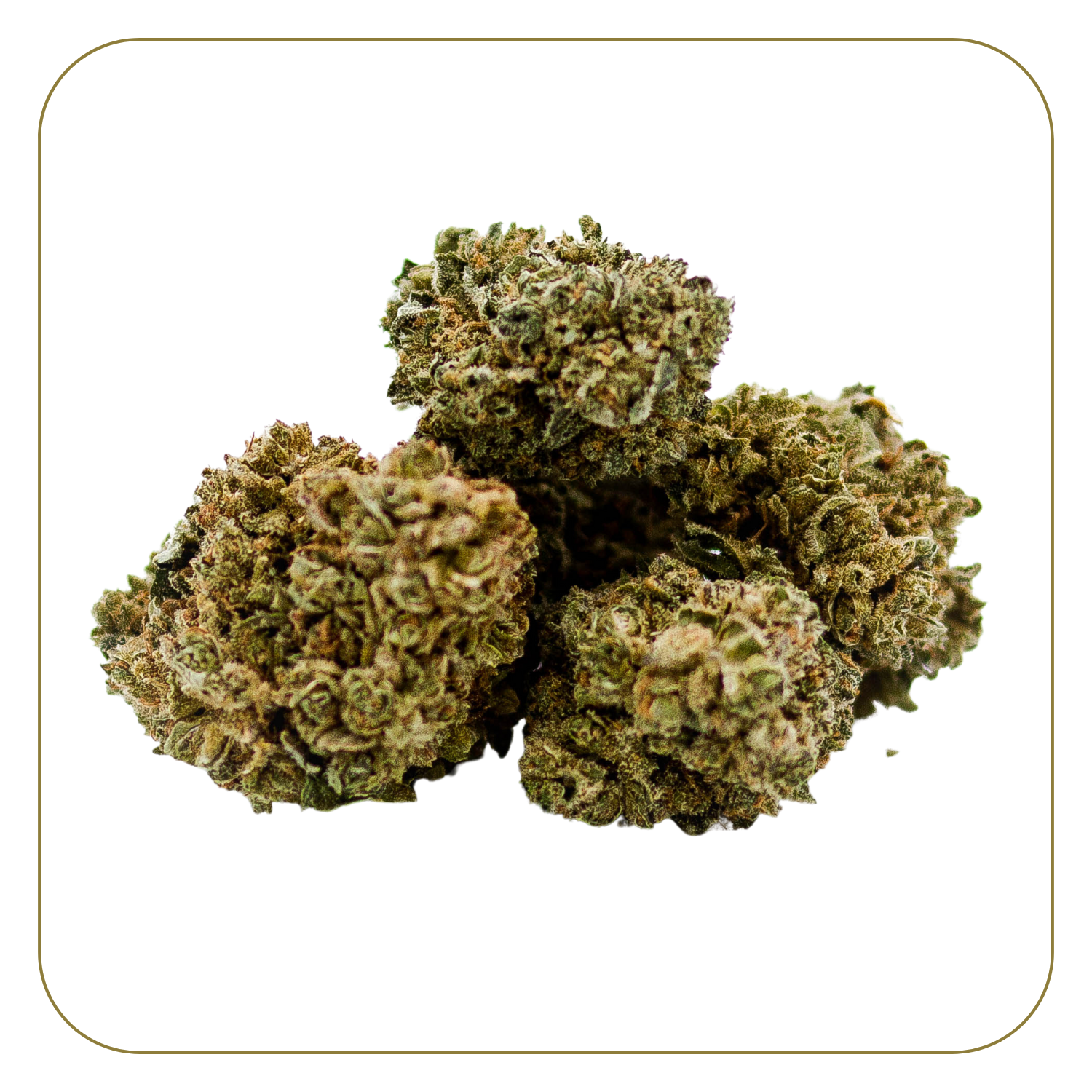 Pineapple Express Indoor 21%