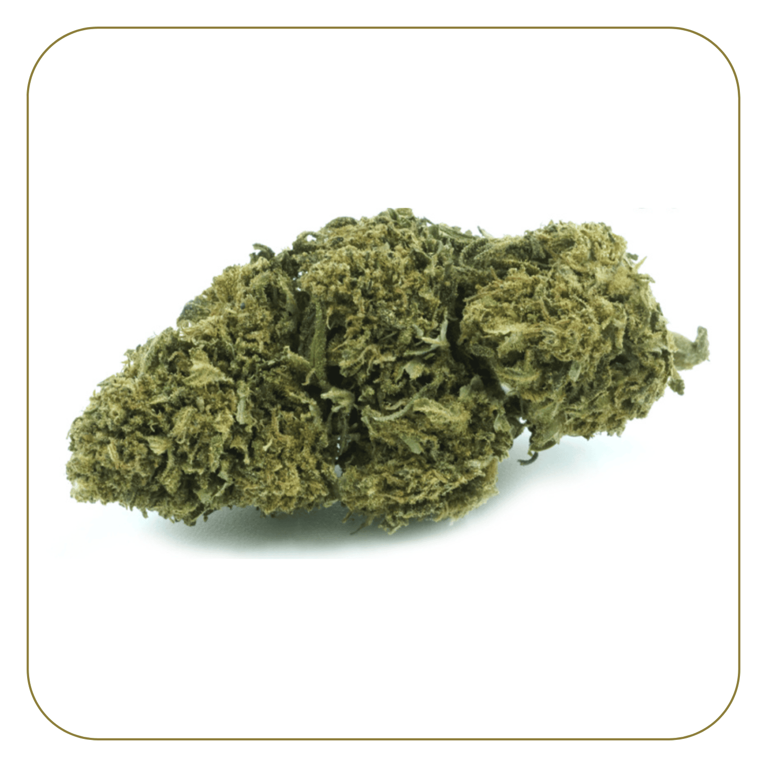 Orange Bud CBD Greenhouse 16%