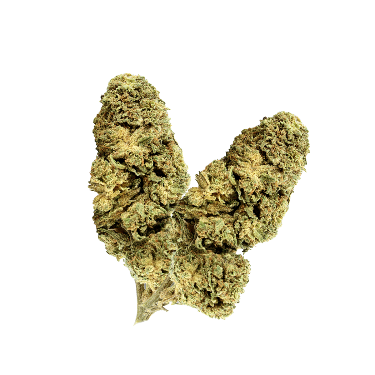 fleur-cbd-banana-kush