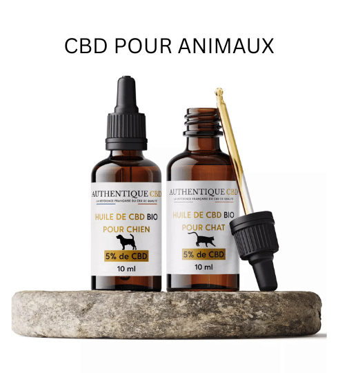 CBD en ligne | Huiles, Fleurs & Infusions