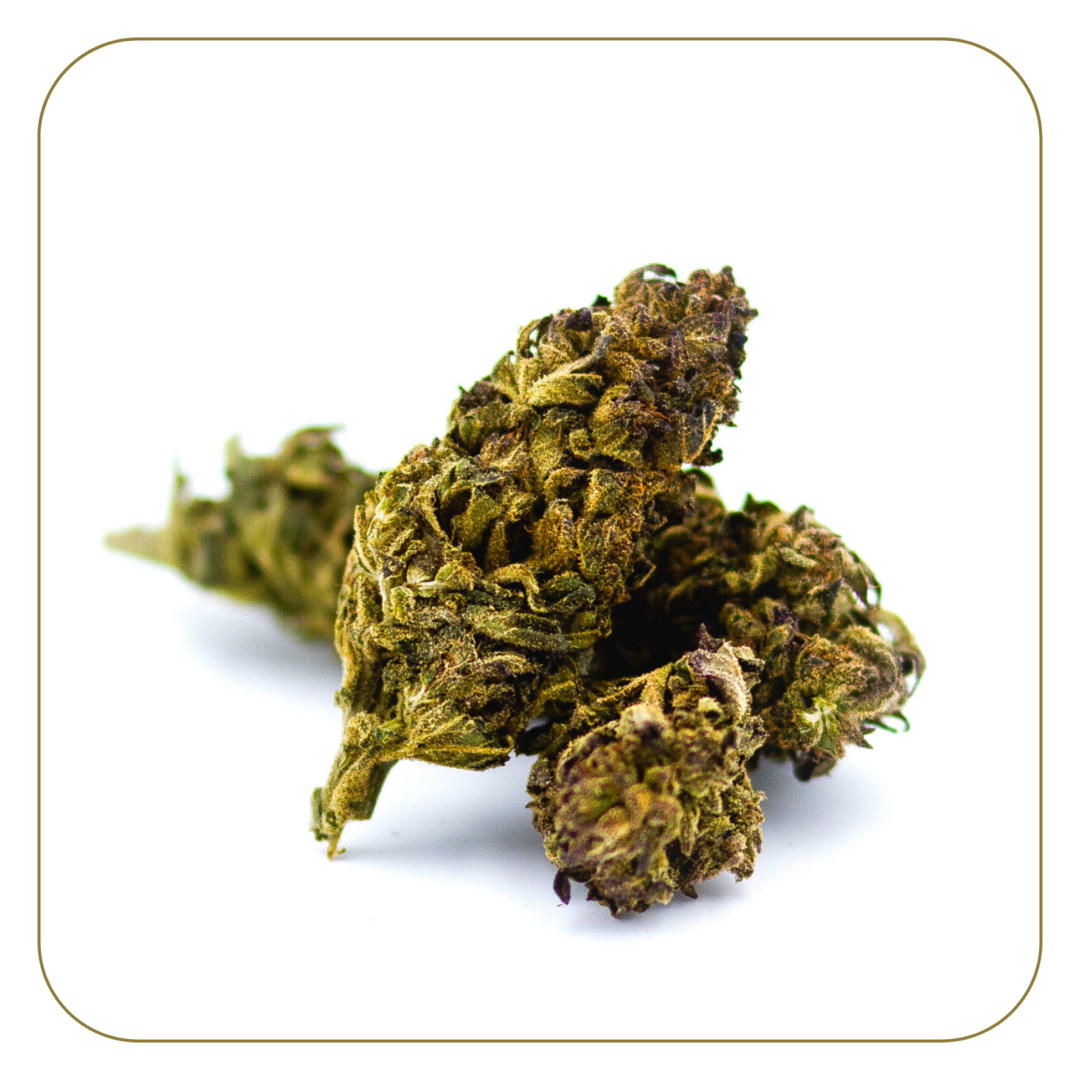Cherry Pie CBD - Fleurs de CBD Outdoor - Authentique-CBD