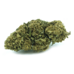 orange-bud-cbd-greenhouse