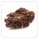 fleur-cbd-purple-indoor