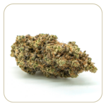 fleur-cbd-bonkers-outdoor