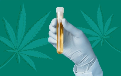 elfbar nachfüll pod läuft aus Autotest urinaire cannabis THC Biosynex