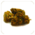 fleur-cbd-acapulco-greenhouse