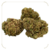 fleur-cbd-hawaian-skunk-greenhouse