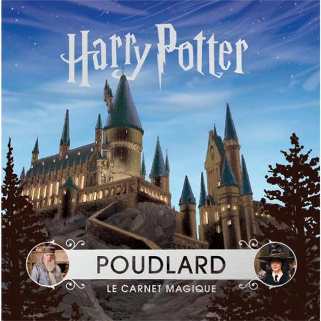 le-carnet-magique-poudlard-officiel-galimard-harry-potter-reference-9-78208e-12-produit