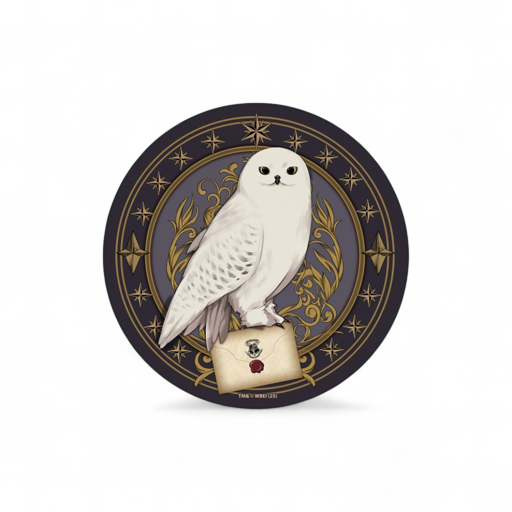 harry-potter-dessous-de-verre-en-ceramique-hedwige