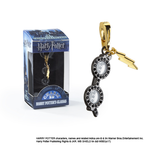 charm lumos harry potter lunettes NN1037_480