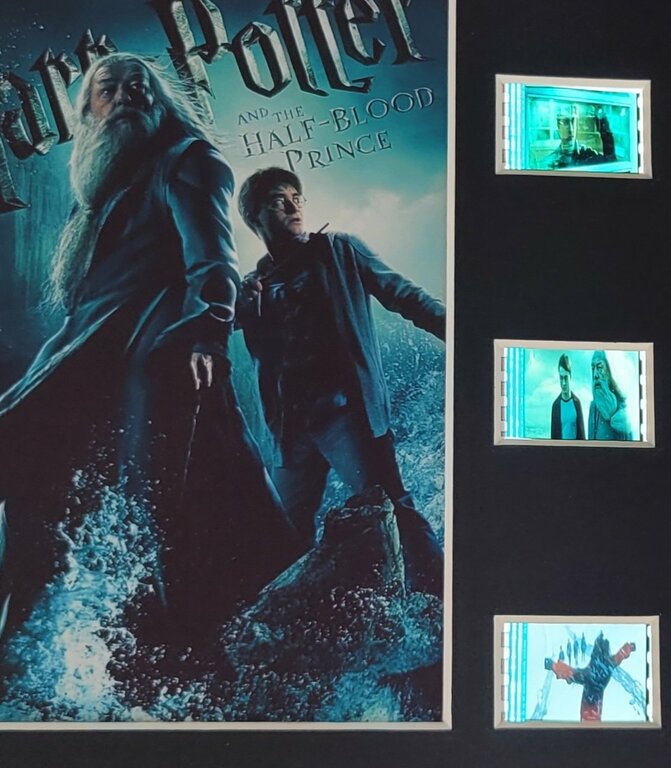 cellules-de-film-de-harry-potter-et-le-prince-de-sangmele-4
