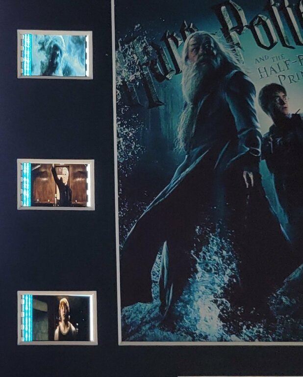 cellules-de-film-de-harry-potter-et-le-prince-de-sangmele-5