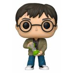 pop-harry-potter-sablier