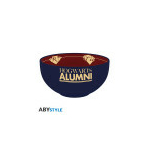 harry-potter-bol-600-ml-hogwarts-alumni-boite-carton-x2-1