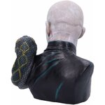 buste-voldemort-v4