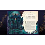 harry-potter-4-harry-potter-et-la-coupe-de-feu-edition-illustree-4