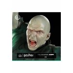 Détail du visage de Lord Voldemort, figurine Ikigai