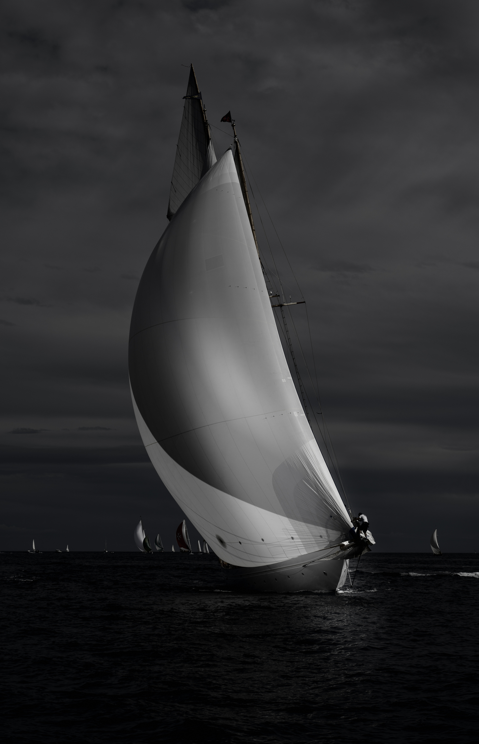 _DSC8495