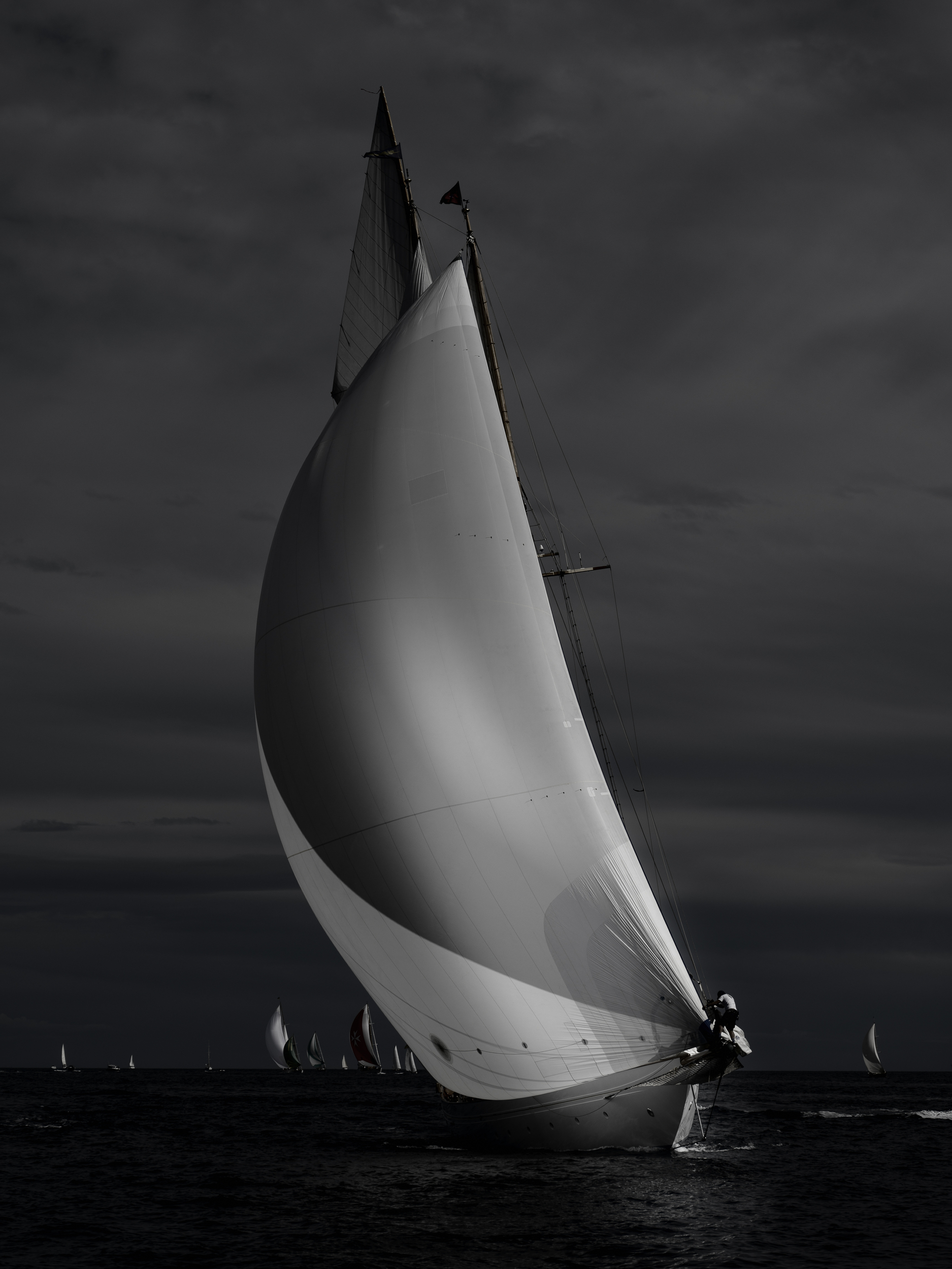 _DSC8495