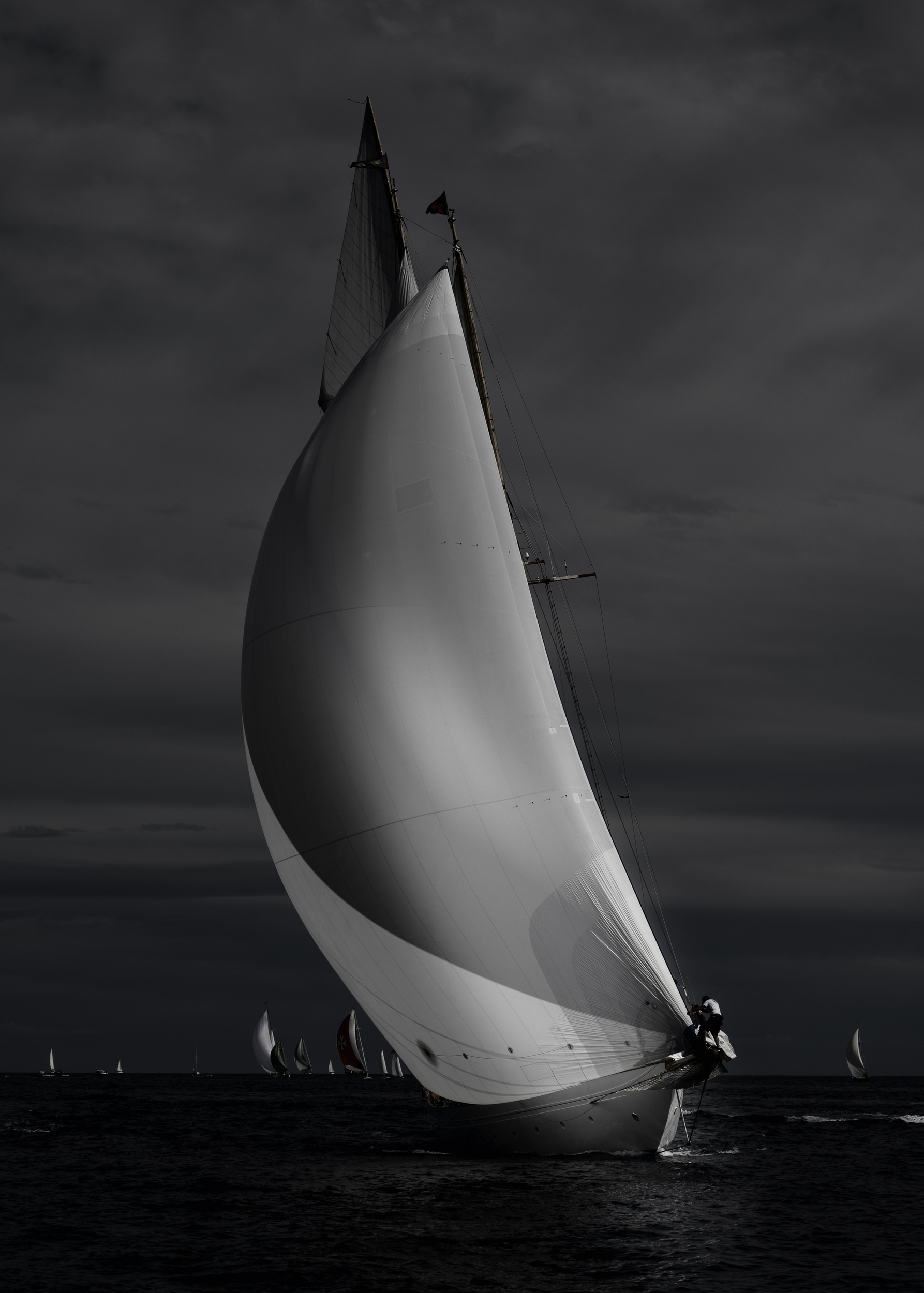 _DSC8495