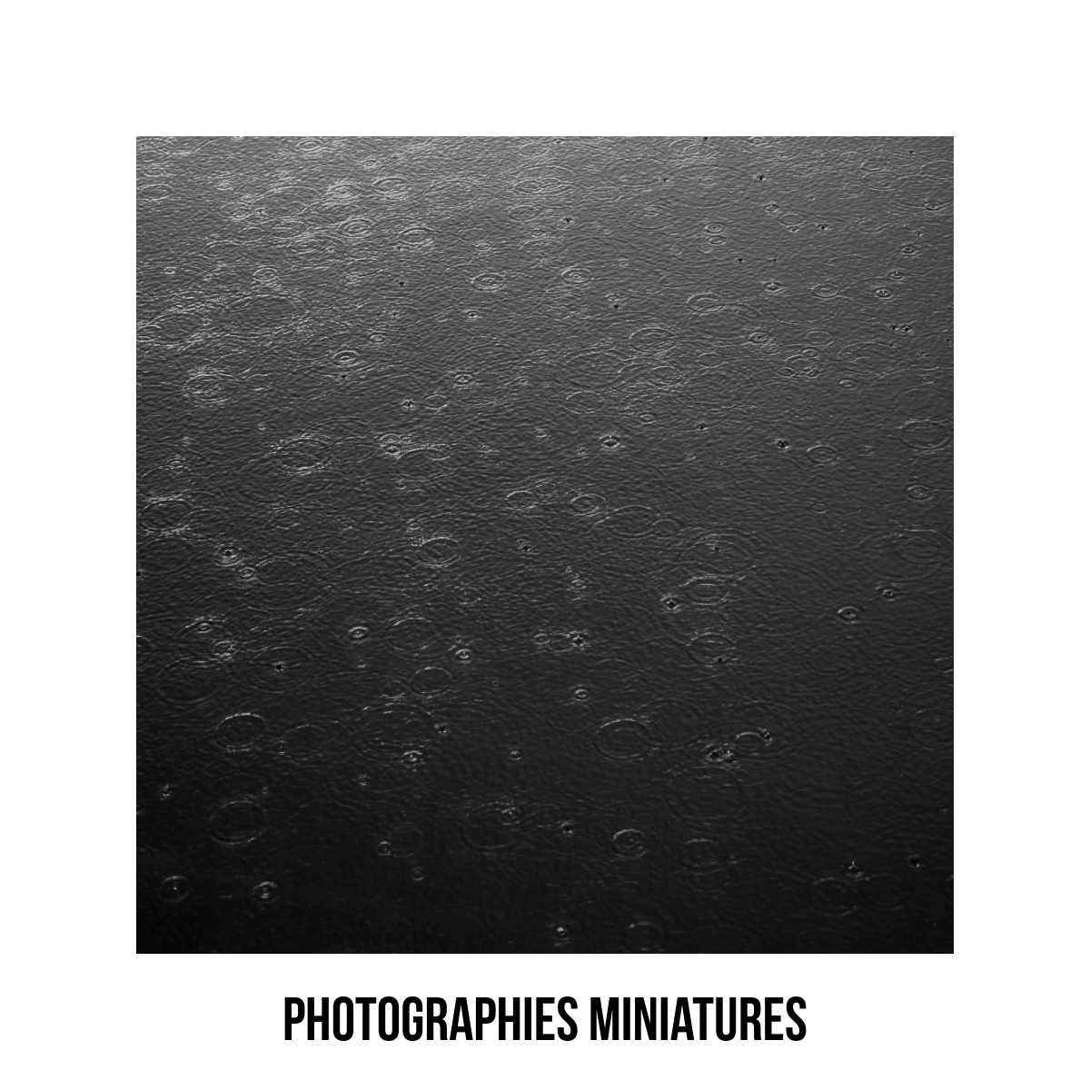 PHOTOGRAPHIES MINIATURES