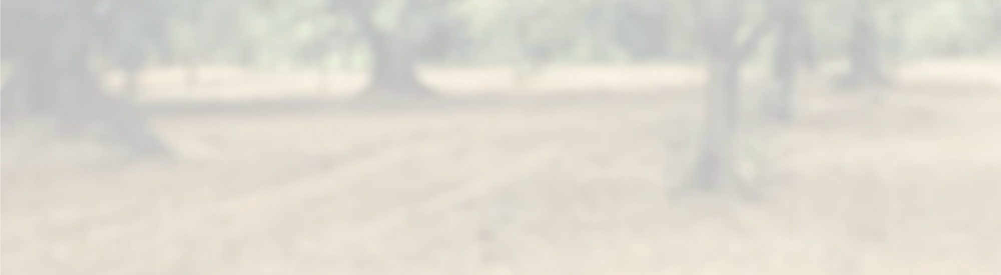 dc2f5720 236d 4836 9100 9013a2ce35f6