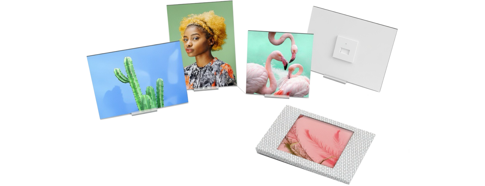 img 8261