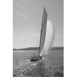 IMG_7086