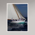 IMG_7856