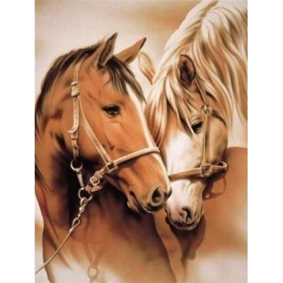 Amour de chevaux