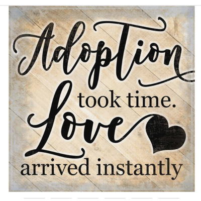 Adoption took time. Love arrived instantly