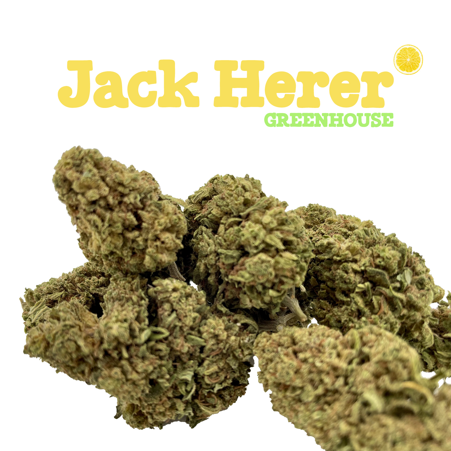 JACK HERER - Fleurs CBD