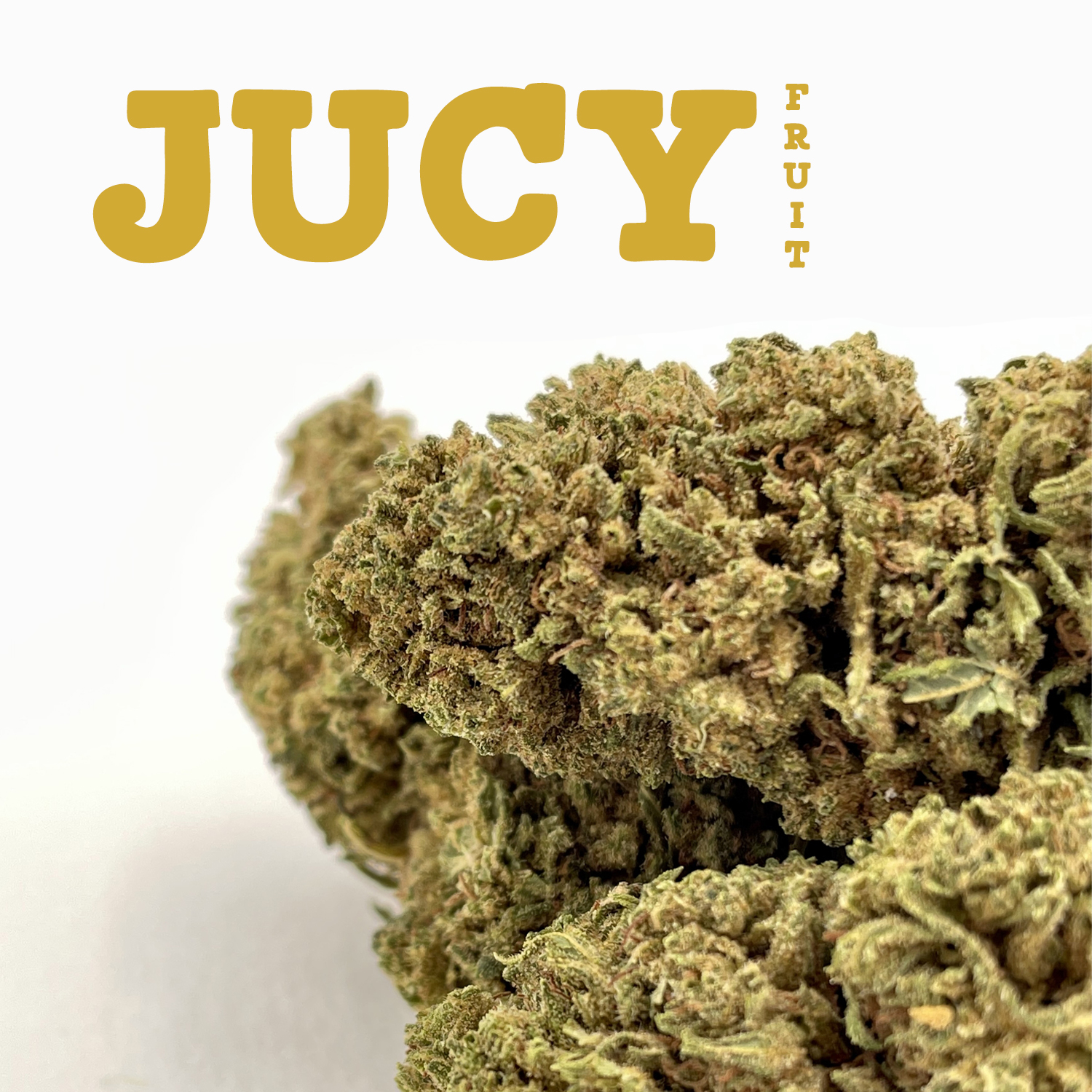 JUICY FRUIT - Fleurs CBD
