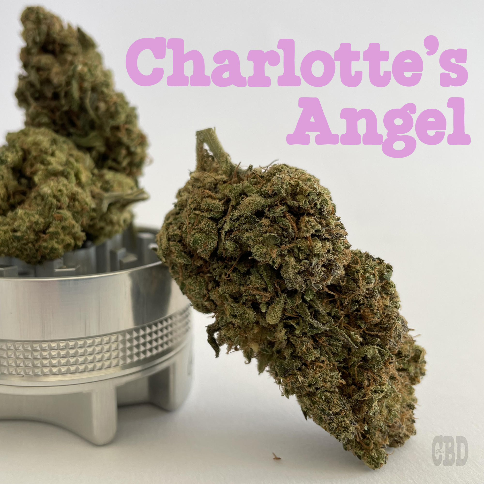 Charlotte's Angel CBD by Thecbdstore - 1
