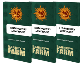strawberry-lemonade_packet_1_seed