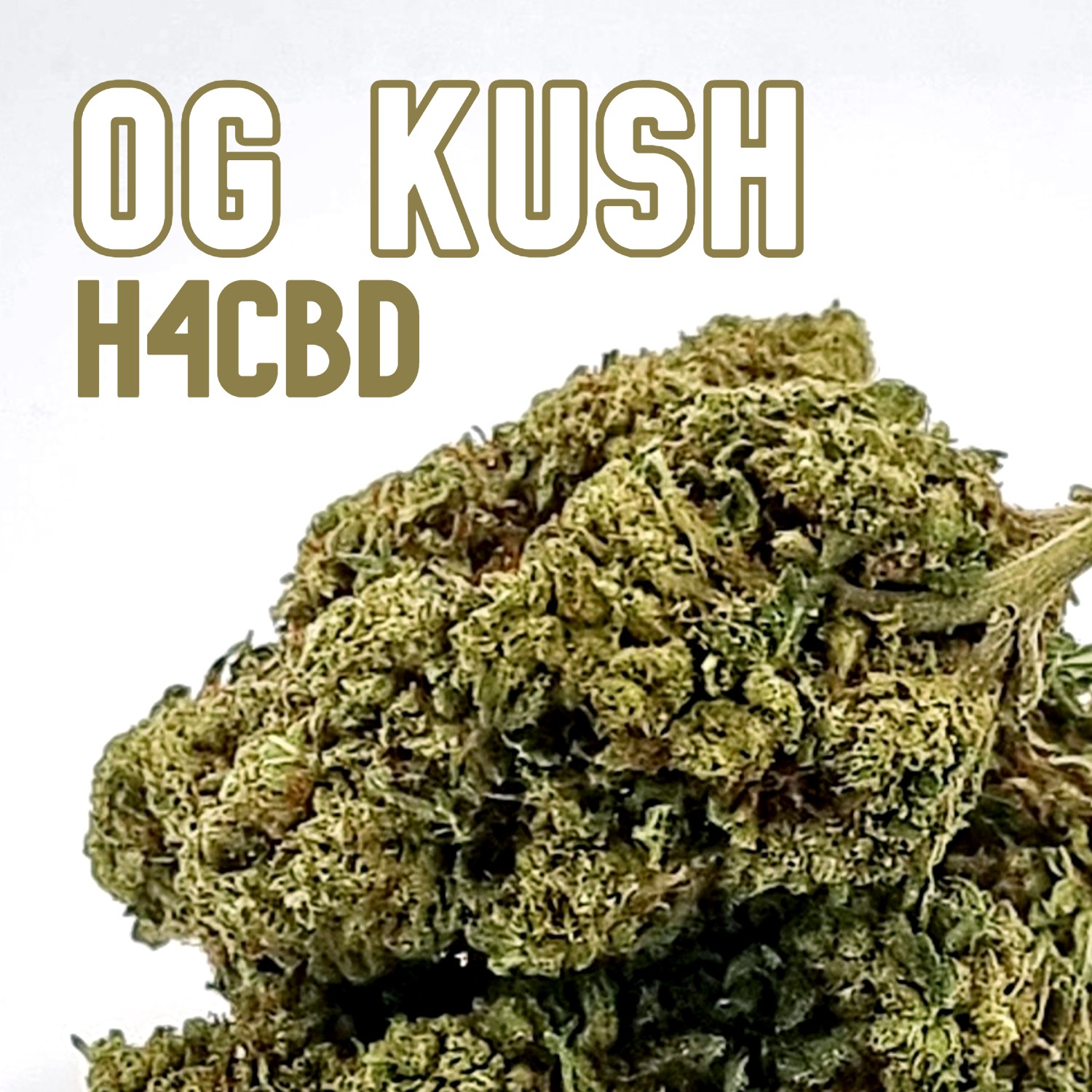 OG Kush - H4CBD
