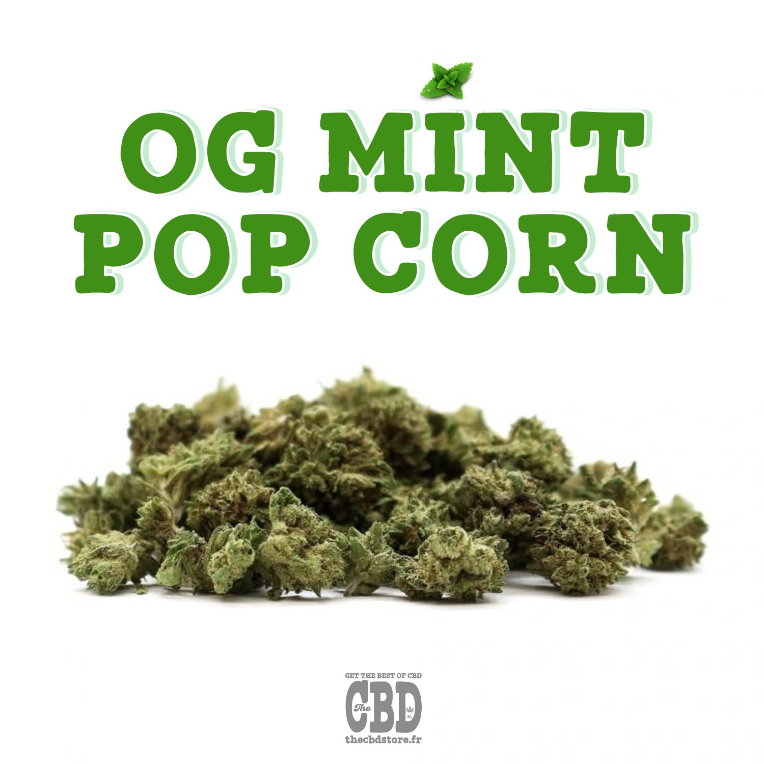 OG Mint Popcorn - fleurs de CBD