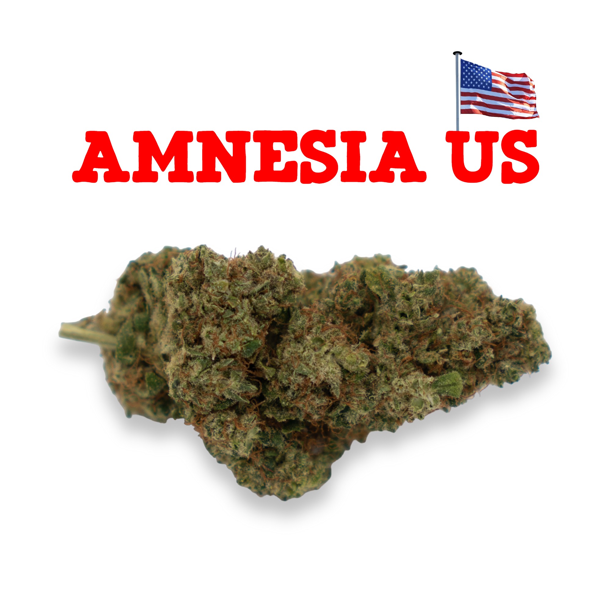 Amnesia US - fleur de CBD