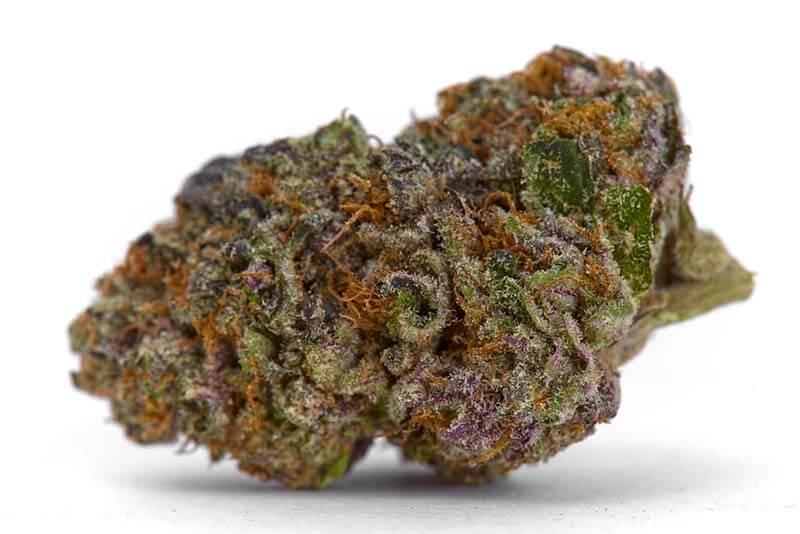 Girl-Scout-Cookie