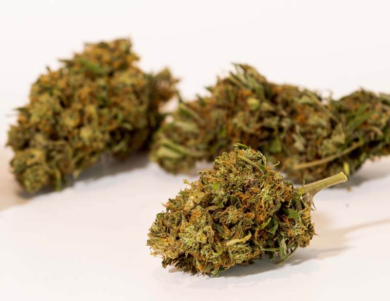 Natural-Buds-